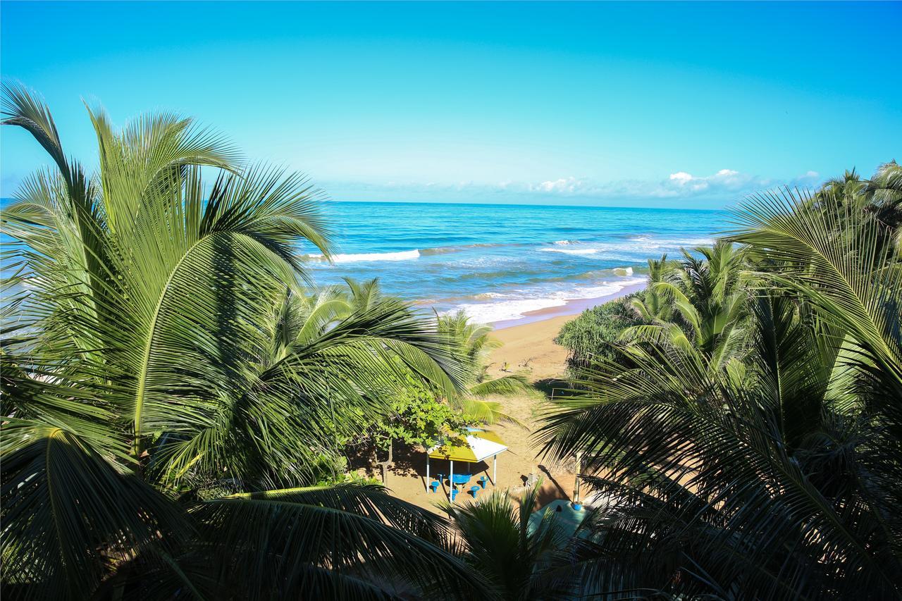 Oasey Ayurveda Hotel Bentota Bagian luar foto